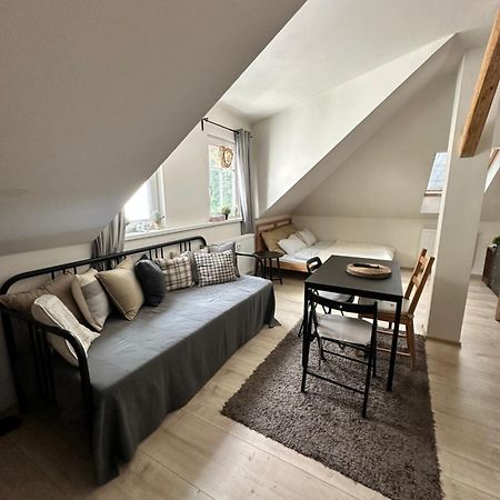 Number 5 Vlevo Dole Apartment โรกีนีซ นัด ยีเซอโร ภายนอก รูปภาพ