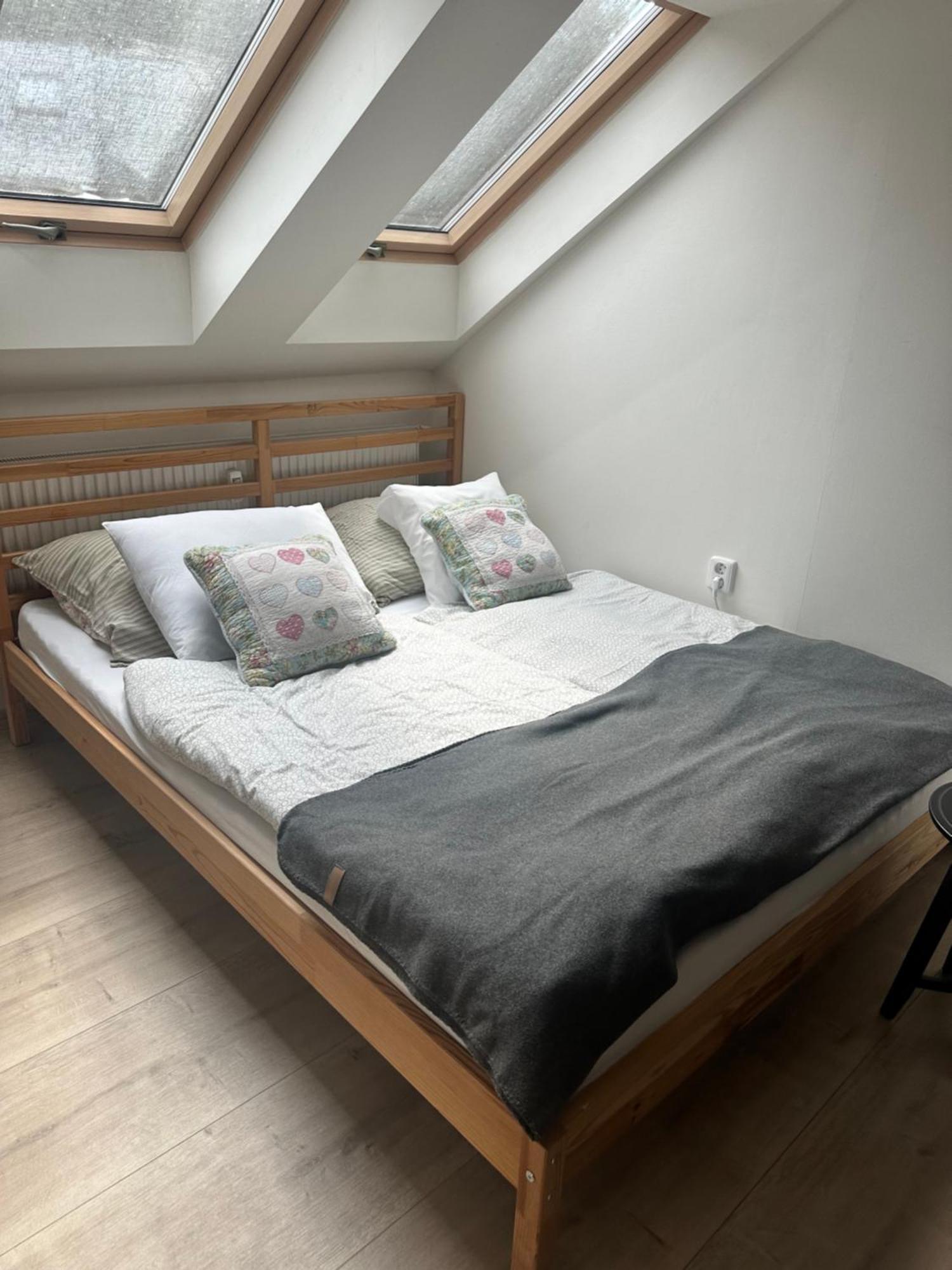 Number 5 Vlevo Dole Apartment โรกีนีซ นัด ยีเซอโร ภายนอก รูปภาพ